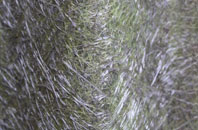 Overley fibreglass roof work